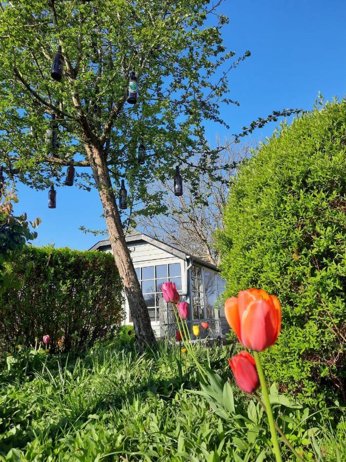 La Vieille Forge B&B Houffalize Dış mekan fotoğraf