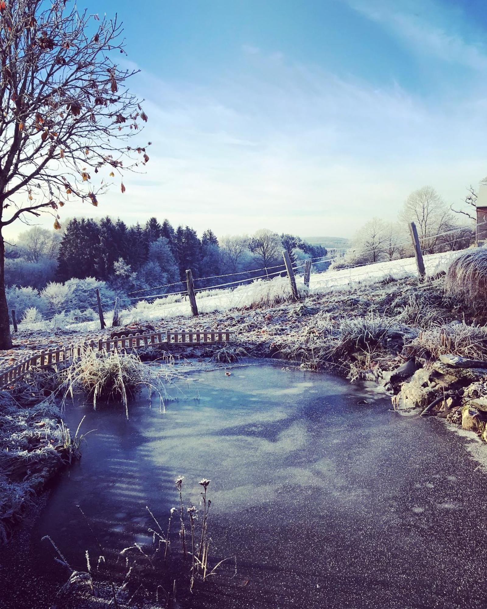 La Vieille Forge B&B Houffalize Dış mekan fotoğraf