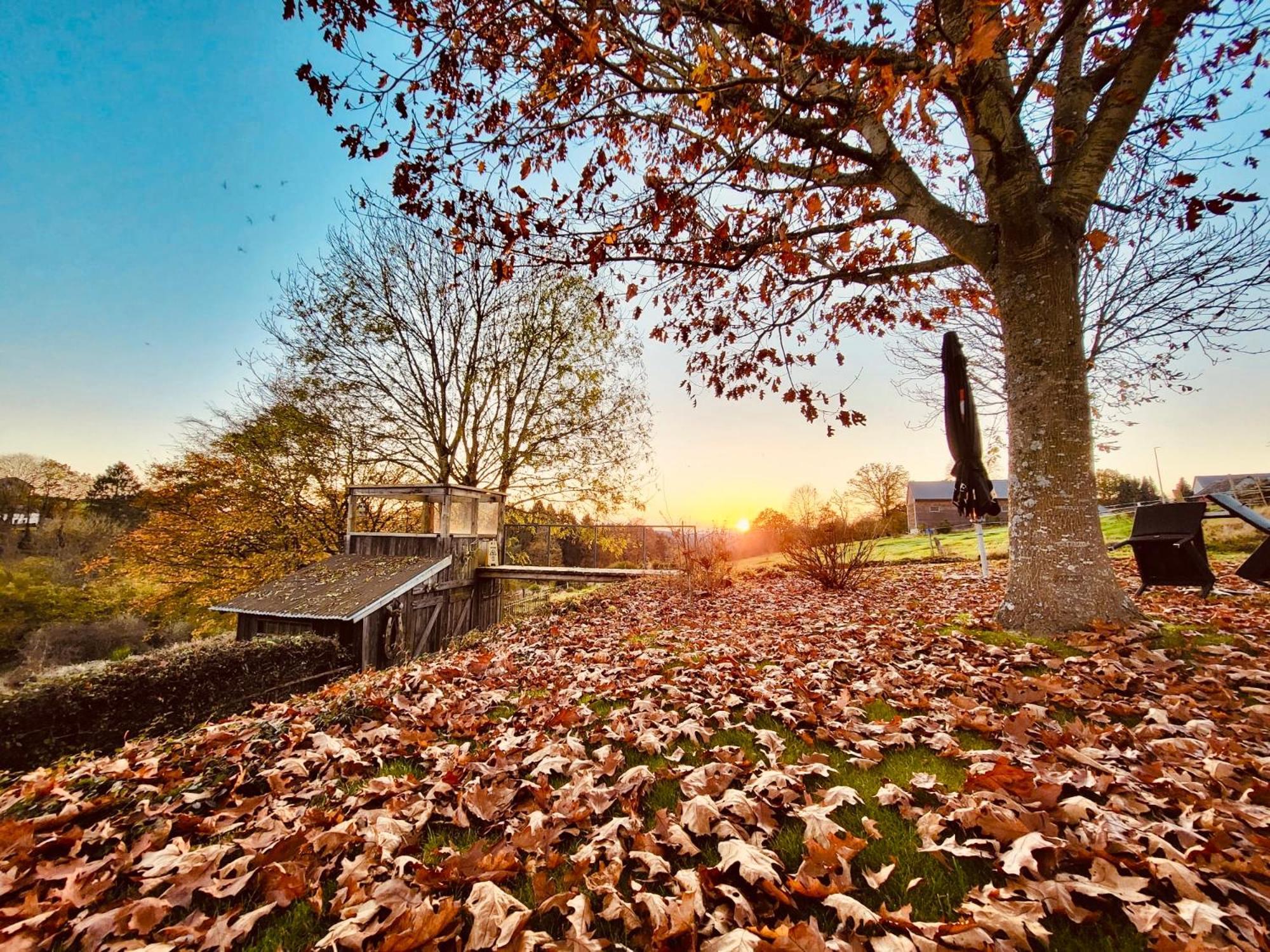 La Vieille Forge B&B Houffalize Dış mekan fotoğraf