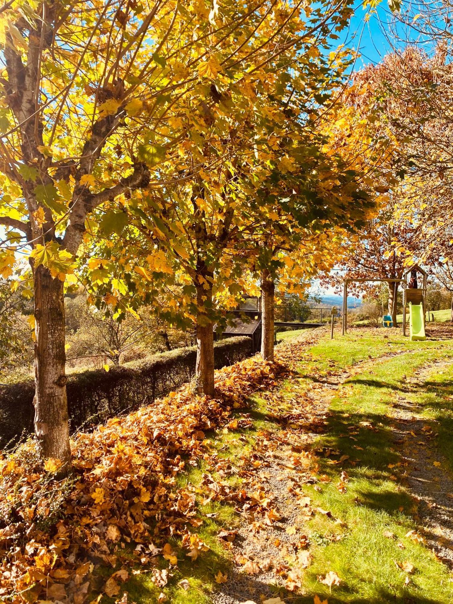 La Vieille Forge B&B Houffalize Dış mekan fotoğraf